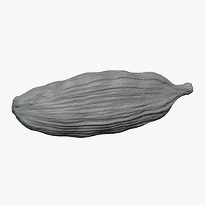 3D Cardamom 02 - For 3D Print model