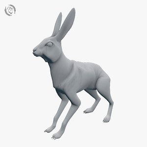3D hare