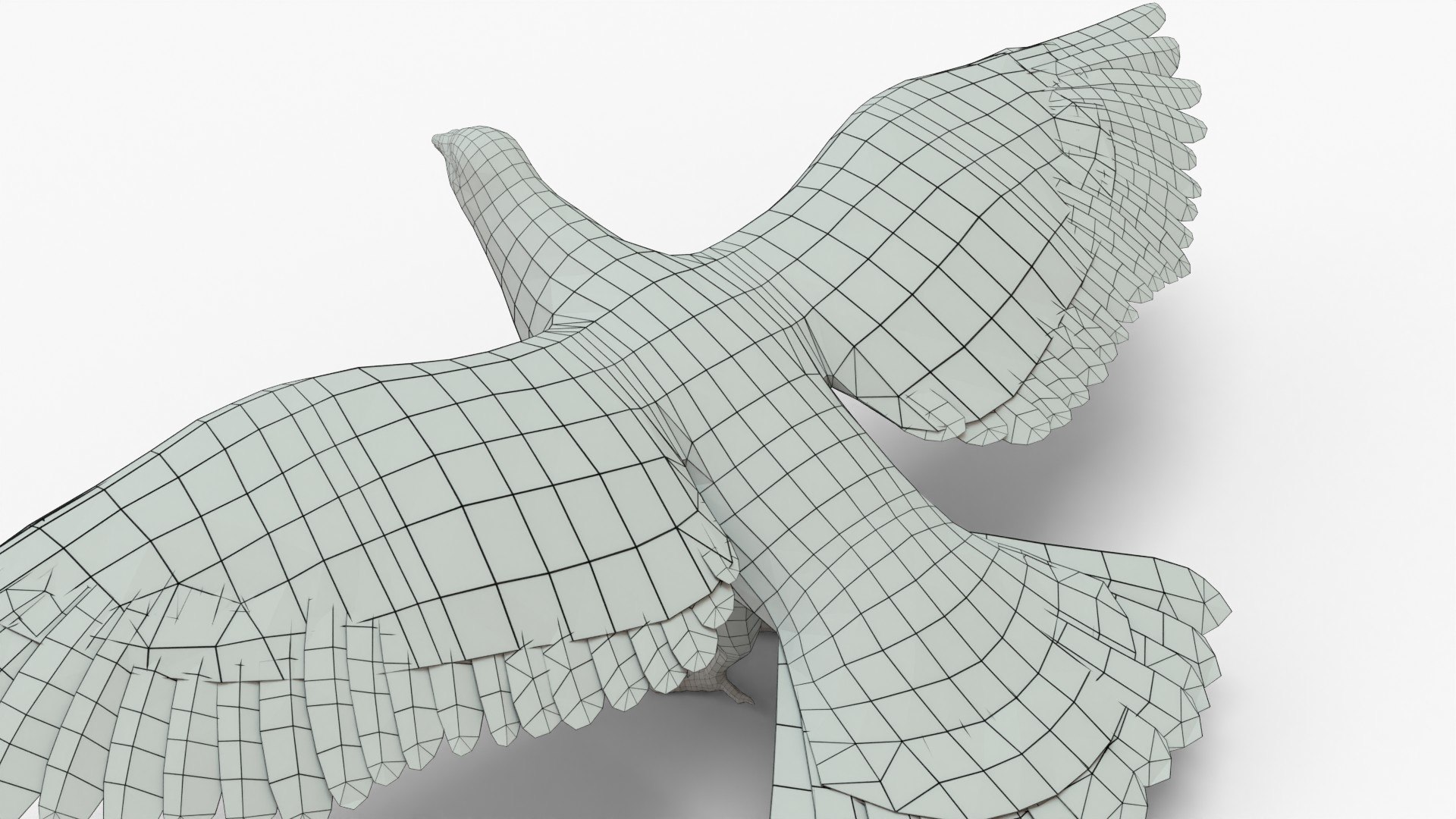 3D Realistic Pigeon - TurboSquid 2296126