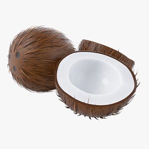 Cartoon Coconut Set