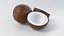 Cartoon Coconut Set 3D model