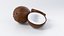 Cartoon Coconut Set 3D model