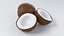 Cartoon Coconut Set 3D model
