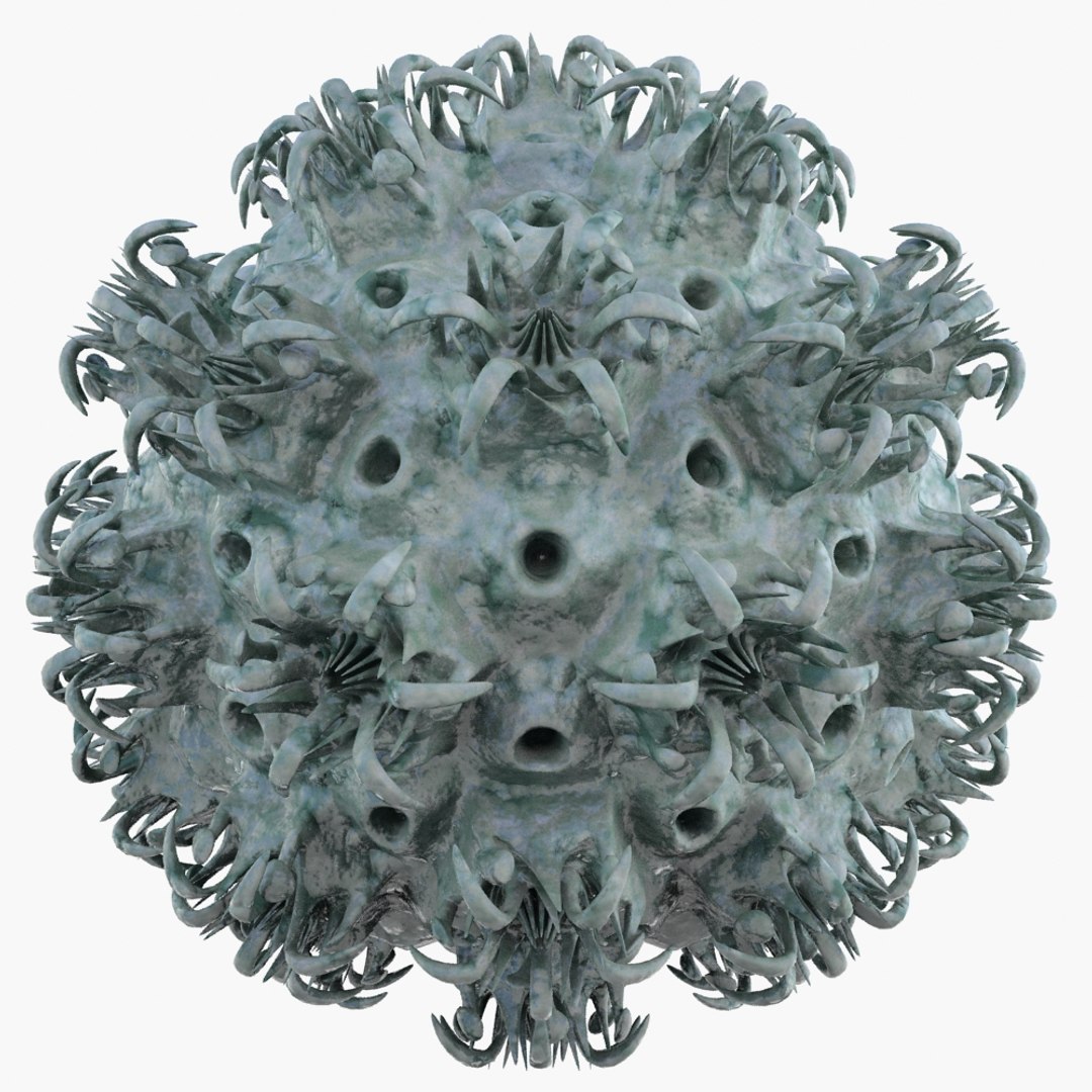 micro object mht 3d max