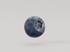 Blueberry