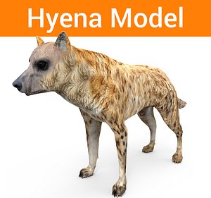 3D hyena