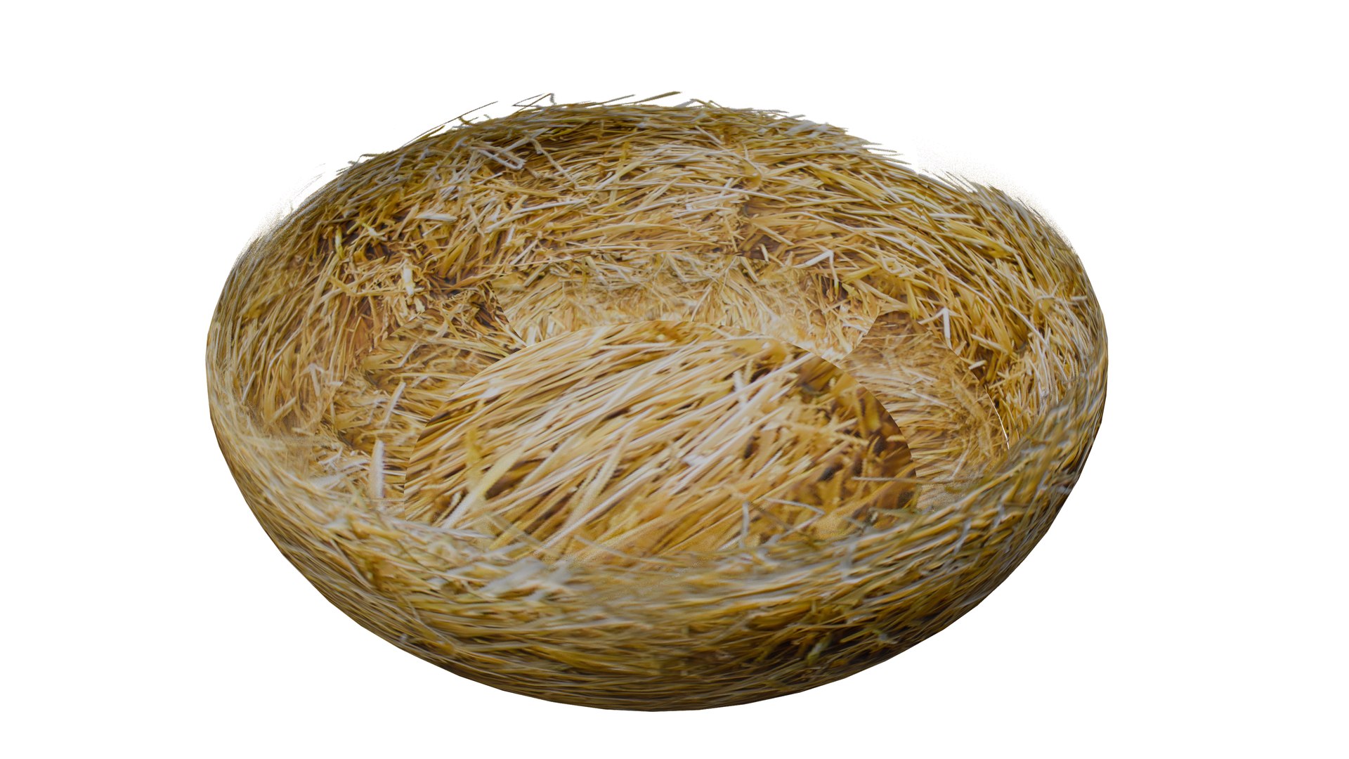 Lohmann Brown Chicken Egg in Nest 3D https://p.turbosquid.com/ts-thumb/JF/k4iOKS/TC/11/png/1740121408/1920x1080/fit_q87/144d7b0564512ec1ae402b1ea3e164bd07c3705a/11.jpg