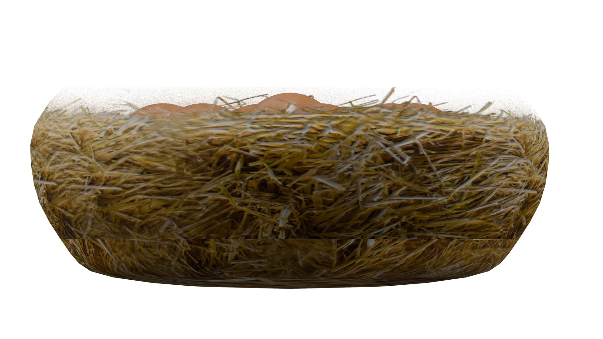 Lohmann Brown Chicken Egg in Nest 3D https://p.turbosquid.com/ts-thumb/JF/k4iOKS/pV/9/png/1740121367/1920x1080/fit_q87/7f657165c1b40003317d9711e168ced15bdd3f44/9.jpg