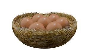 Lohmann Brown Chicken Egg in Nest 3D