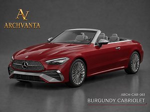 3D model ARCH-CAR-061