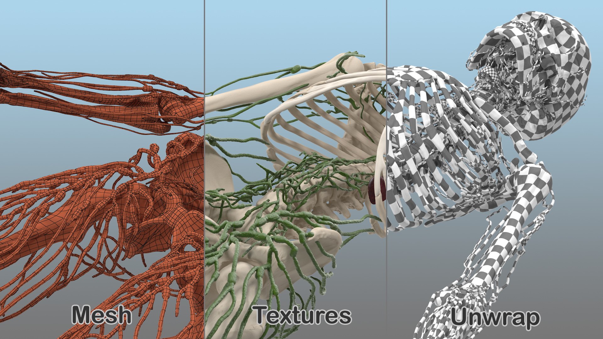 male body anatomy internal 3D model https://p.turbosquid.com/ts-thumb/JG/7OqRdx/2A/malebodyanatomycollectionc4dmodel061/jpg/1611549018/1920x1080/fit_q87/cae82880147718dcf1e309d4a4ffb238ce6be28e/malebodyanatomycollectionc4dmodel061.jpg