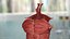 Kolekcja męskiej anatomii ciała