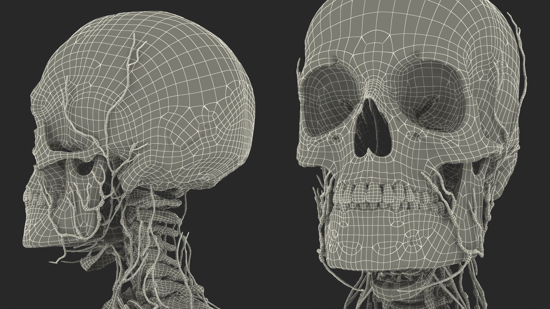 male body anatomy internal 3D model https://p.turbosquid.com/ts-thumb/JG/7OqRdx/AE/malebodyanatomycollectionc4dmodel128/jpg/1611549085/1920x1080/fit_q87/81f93bcfbba3e4a35b80f8993ad0667bc389e8d1/malebodyanatomycollectionc4dmodel128.jpg