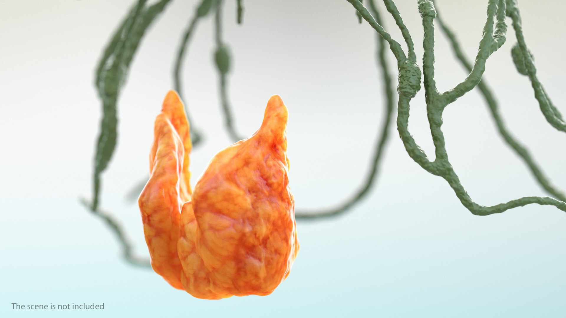 male body anatomy internal 3D model https://p.turbosquid.com/ts-thumb/JG/7OqRdx/FL/malebodyanatomycollectionc4dmodel046/jpg/1611548990/1920x1080/fit_q87/ae9700b4bd6463cff00f5d784ec726d7fd6198e1/malebodyanatomycollectionc4dmodel046.jpg