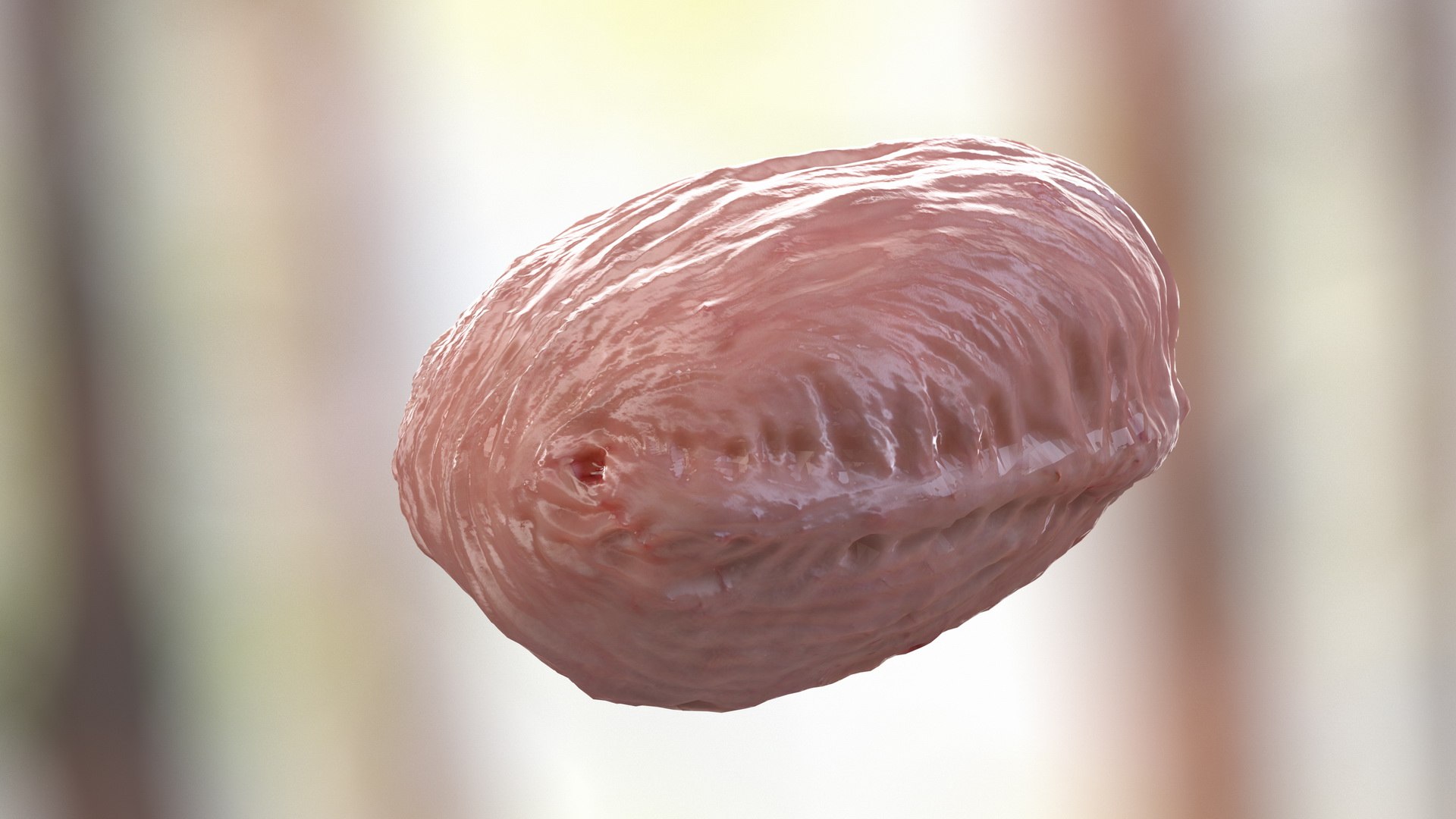 male body anatomy internal 3D model https://p.turbosquid.com/ts-thumb/JG/7OqRdx/HC/malebodyanatomycollectionc4dmodel023/jpg/1611548971/1920x1080/fit_q87/60468bdffb108e6c9f11420c31dae5254f2835d4/malebodyanatomycollectionc4dmodel023.jpg