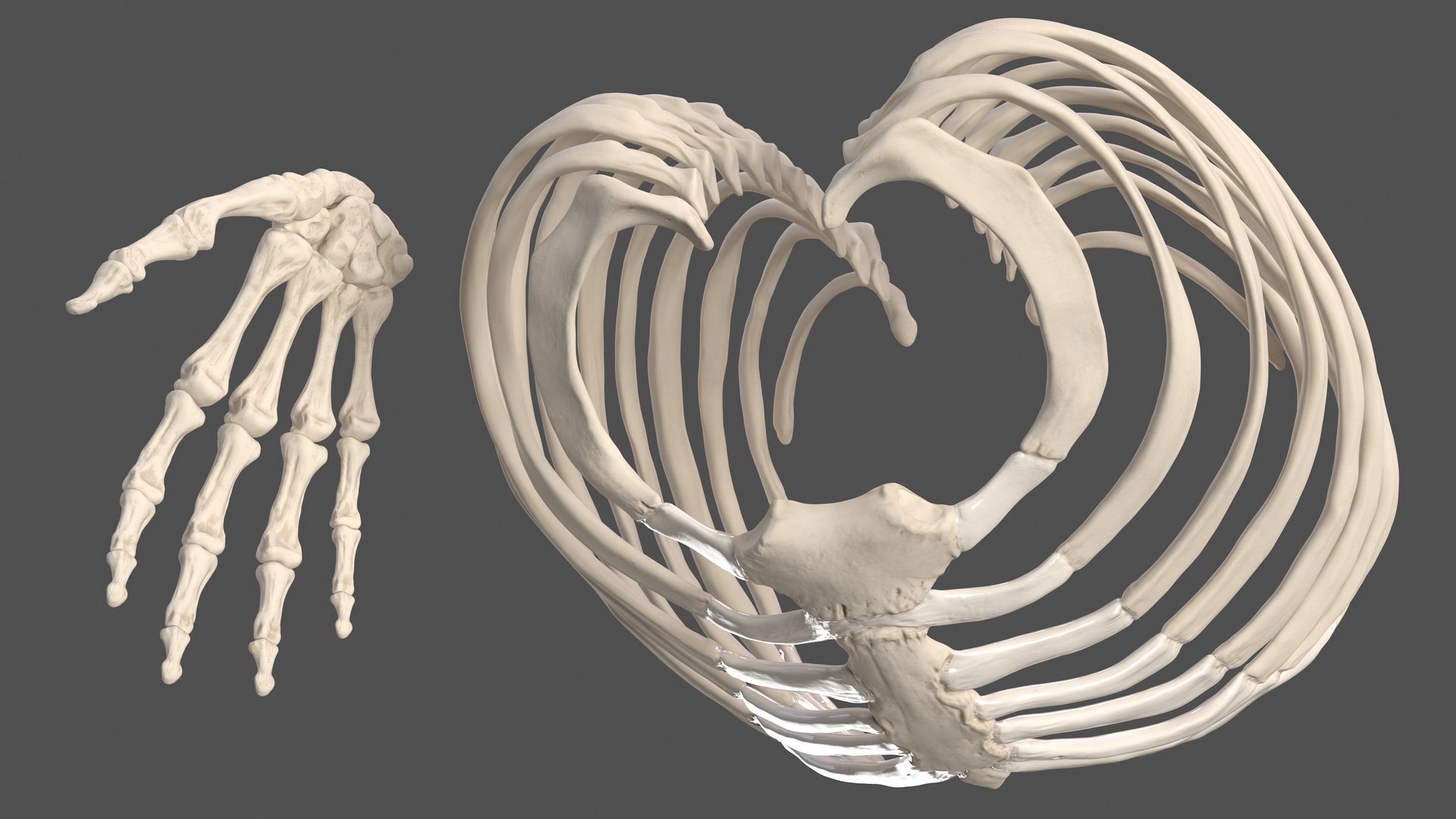 male body anatomy internal 3D model https://p.turbosquid.com/ts-thumb/JG/7OqRdx/Je/malebodyanatomycollectionc4dmodel065/jpg/1611549022/1920x1080/fit_q87/e312e46d0de1b89bae347c181782273d66c62fa3/malebodyanatomycollectionc4dmodel065.jpg