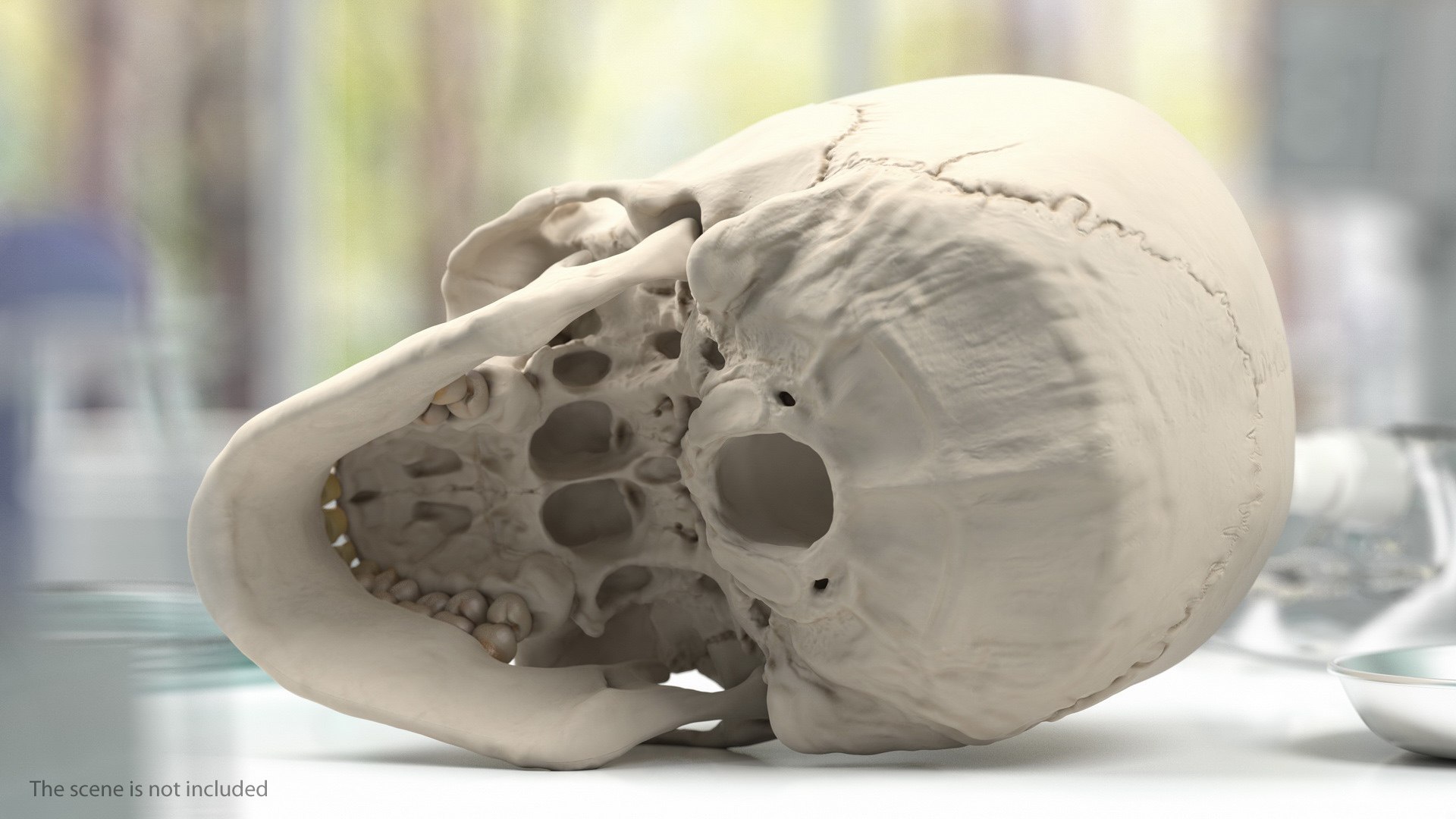 male body anatomy internal 3D model https://p.turbosquid.com/ts-thumb/JG/7OqRdx/XM/malebodyanatomycollectionc4dmodel060/jpg/1611549004/1920x1080/fit_q87/41e11765f21f69900a30180a7e4be7a9084d8bbc/malebodyanatomycollectionc4dmodel060.jpg