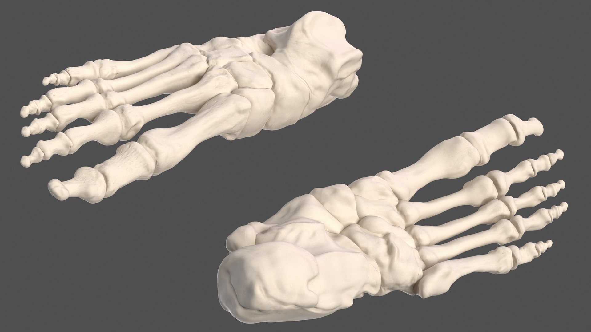 male body anatomy internal 3D model https://p.turbosquid.com/ts-thumb/JG/7OqRdx/lf/malebodyanatomycollectionc4dmodel067/jpg/1611549023/1920x1080/fit_q87/adf1e3c5c2b0bfcb9904bb7cb3af2893d2aa1ab6/malebodyanatomycollectionc4dmodel067.jpg