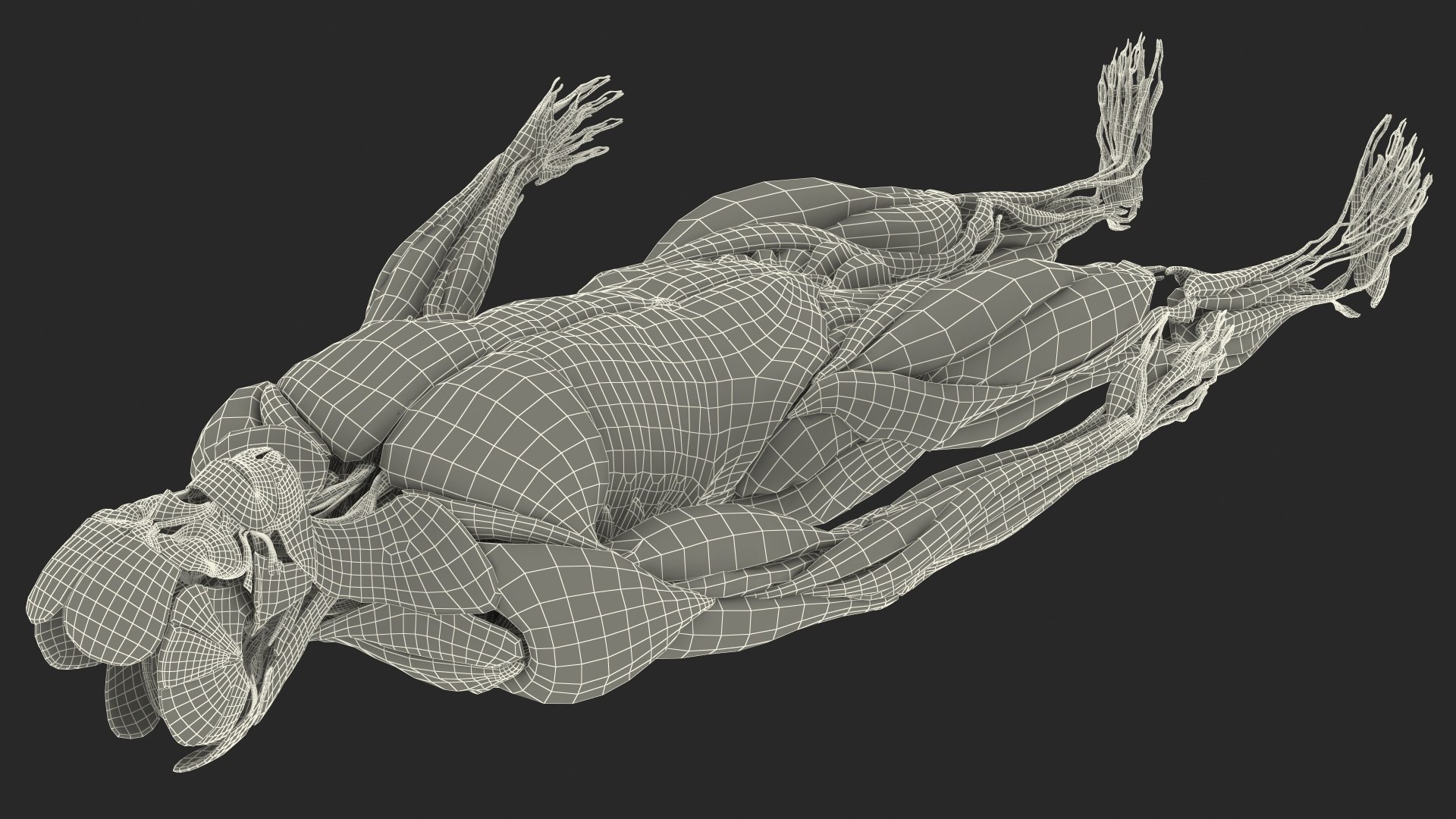 male body anatomy internal 3D model https://p.turbosquid.com/ts-thumb/JG/7OqRdx/x4/malebodyanatomycollectionc4dmodel130/jpg/1611549087/1920x1080/fit_q87/34eb184c4ccce7141f6f9167f021033156185b05/malebodyanatomycollectionc4dmodel130.jpg