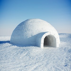 igloo snow 3d model