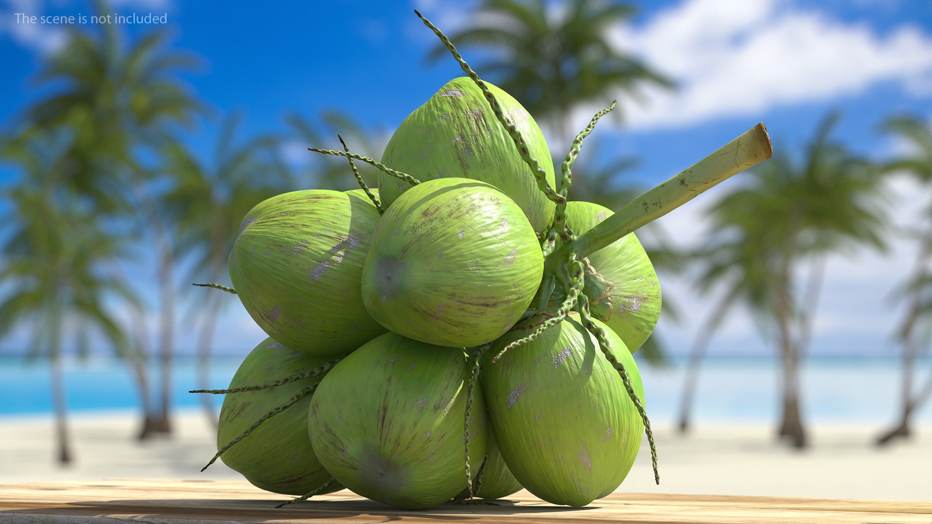 3D coconuts fruits palm https://p.turbosquid.com/ts-thumb/JG/QPXZRm/3JjfjPtI/coconutscollectionc4dmodel003/jpg/1595358446/1920x1080/fit_q87/85c6a095e24fb6ffc88928369310f83582cb9b35/coconutscollectionc4dmodel003.jpg