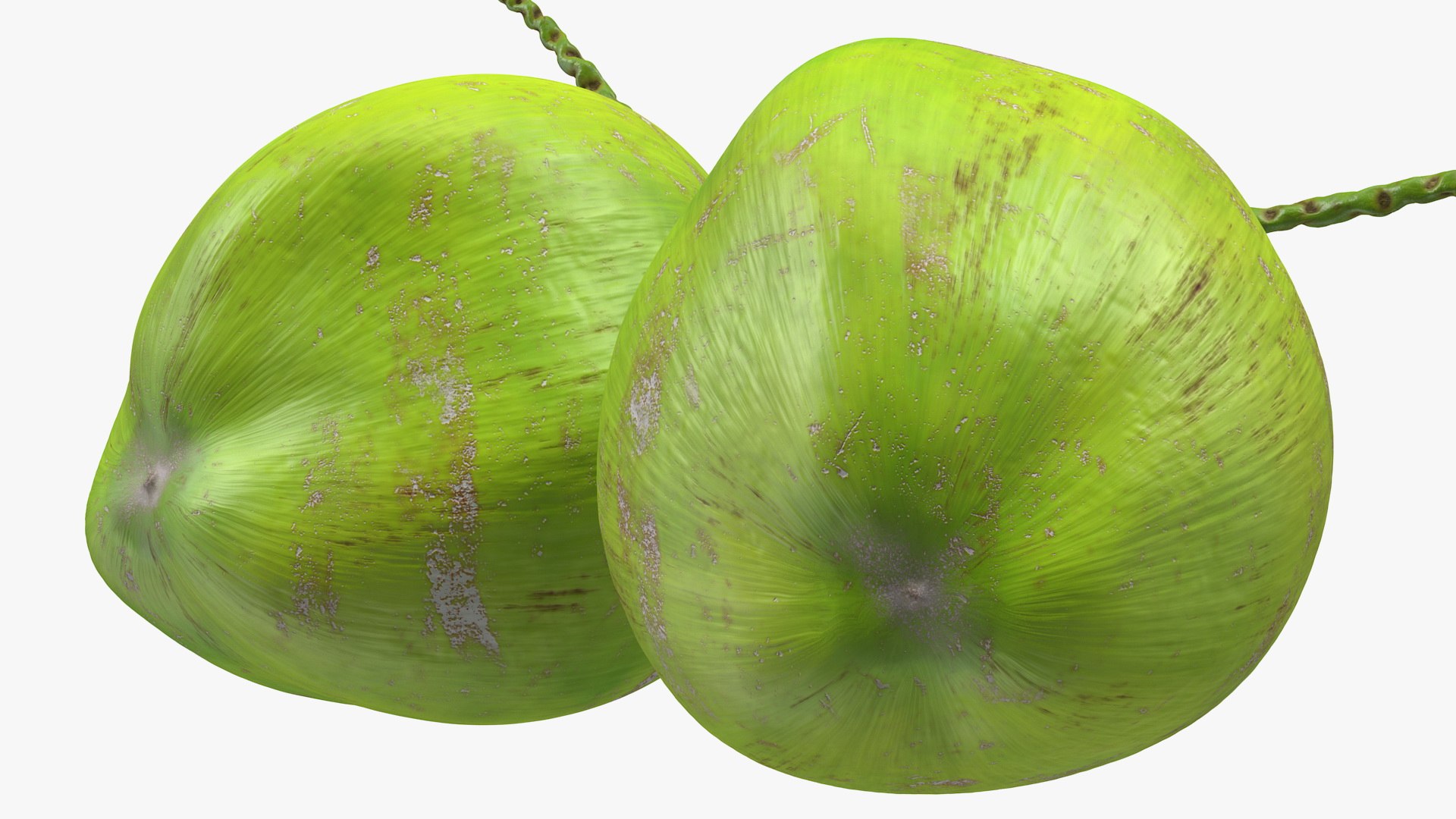 3D coconuts fruits palm https://p.turbosquid.com/ts-thumb/JG/QPXZRm/5QpL5Dz4/coconutscollectionc4dmodel027/jpg/1595358499/1920x1080/fit_q87/a0a7a61c320298b1f4454447dec23c2baff9e9fd/coconutscollectionc4dmodel027.jpg