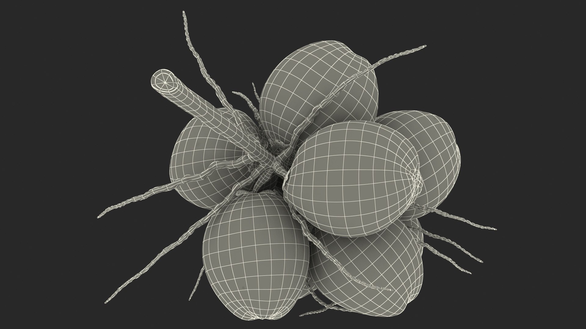 3D coconuts fruits palm https://p.turbosquid.com/ts-thumb/JG/QPXZRm/6LcPwF9F/coconutscollectionc4dmodel033/jpg/1595358512/1920x1080/fit_q87/4625209834b953c8bdd51c13cfe4c668c656cfa9/coconutscollectionc4dmodel033.jpg