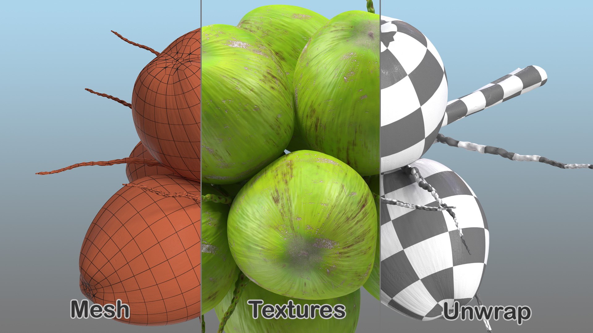 3D coconuts fruits palm https://p.turbosquid.com/ts-thumb/JG/QPXZRm/7dCLhMCy/coconutscollectionc4dmodel007/jpg/1595358455/1920x1080/fit_q87/b4d3c31b63d22a1a8b0bacf71ba0ee7396399c73/coconutscollectionc4dmodel007.jpg