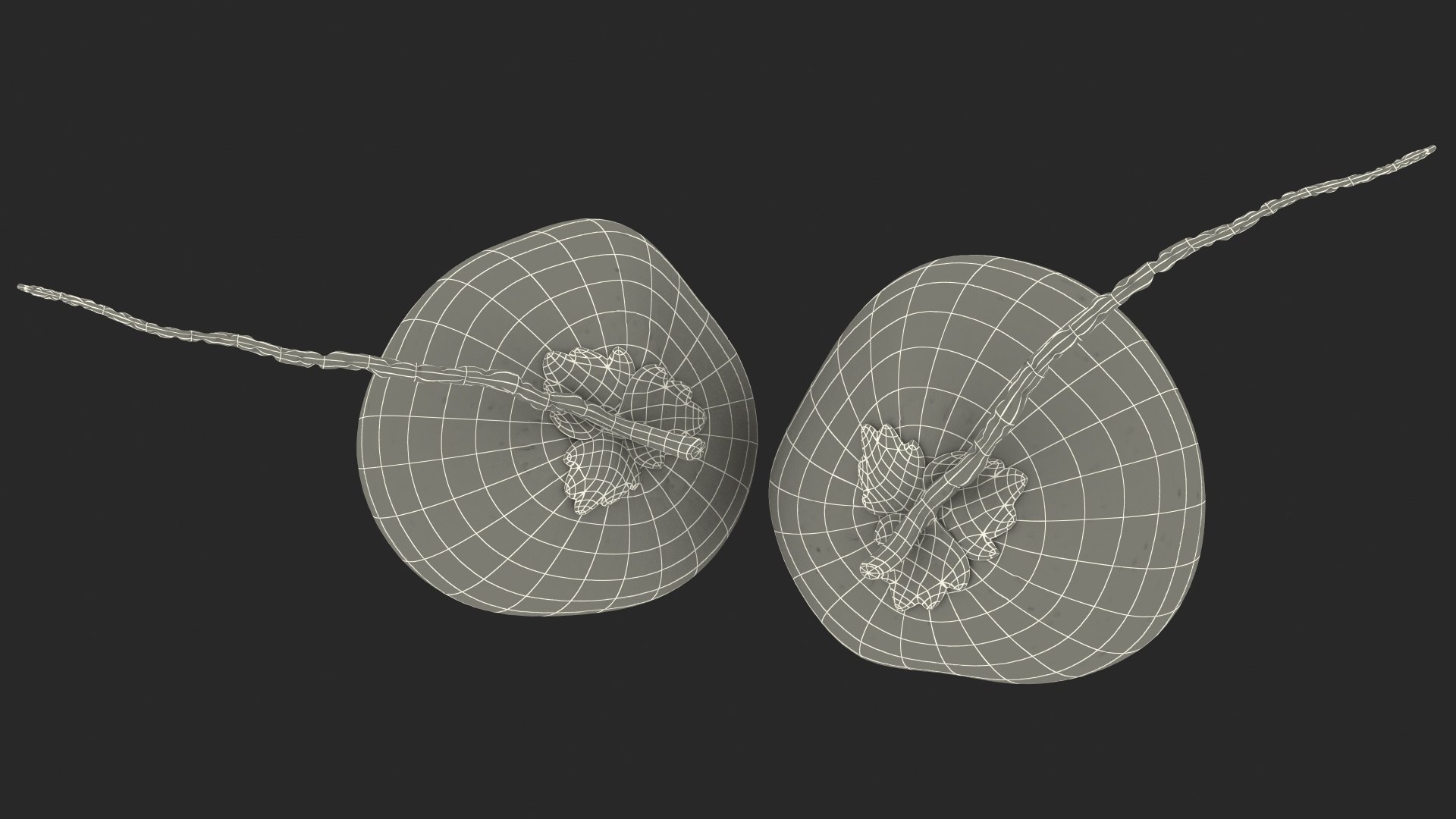 3D coconuts fruits palm https://p.turbosquid.com/ts-thumb/JG/QPXZRm/CT8zIFuN/coconutscollectionc4dmodel035/jpg/1595358517/1920x1080/fit_q87/6ccad963dcd581dd7d7ff8be1721cb8f64b3d61b/coconutscollectionc4dmodel035.jpg