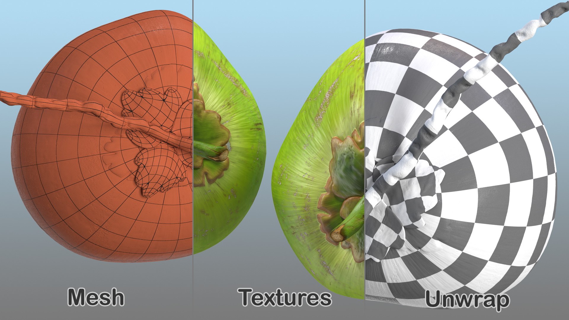 3D coconuts fruits palm https://p.turbosquid.com/ts-thumb/JG/QPXZRm/Cw4INS0L/coconutscollectionc4dmodel023/jpg/1595358490/1920x1080/fit_q87/1b7de518160a6ce71f8d791a5dd89ca4d04d3c8d/coconutscollectionc4dmodel023.jpg