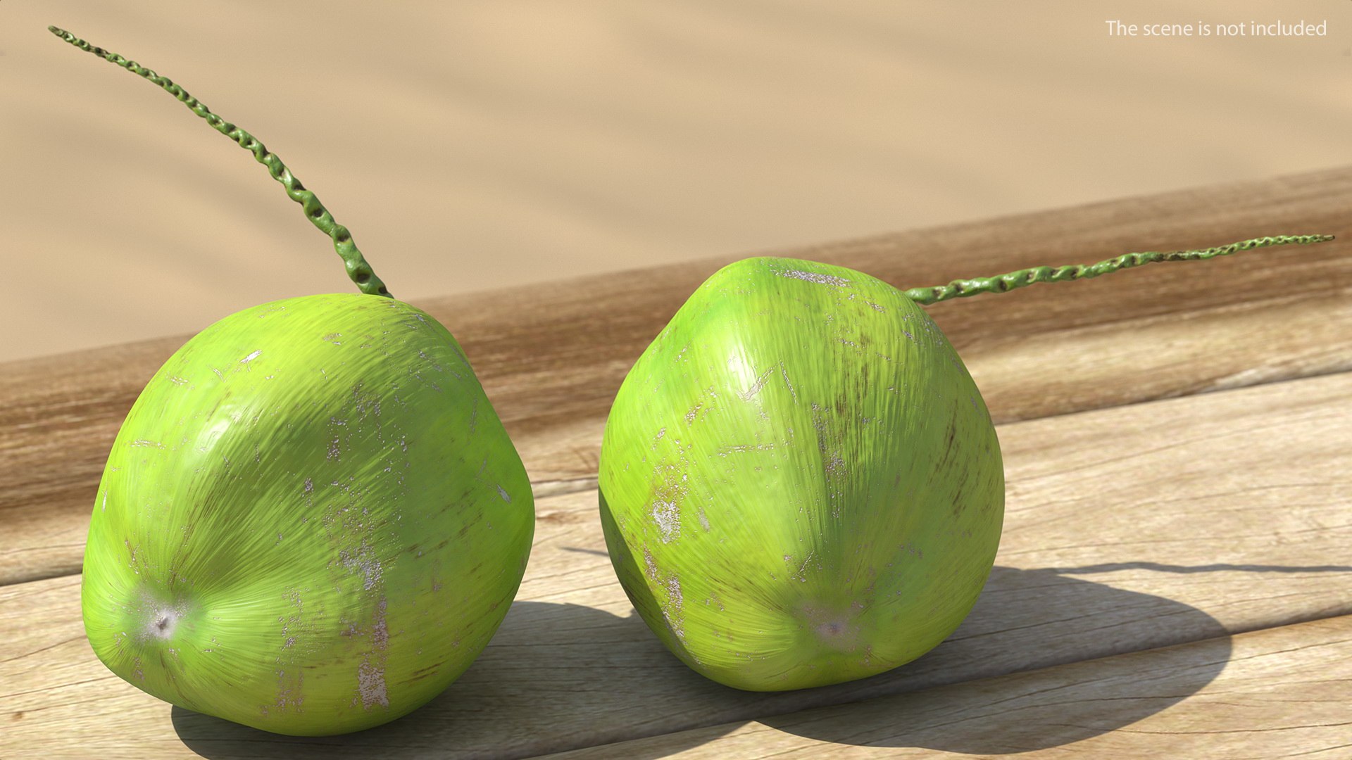 3D coconuts fruits palm https://p.turbosquid.com/ts-thumb/JG/QPXZRm/IIxSd7Ia/coconutscollectionc4dmodel021/jpg/1595358486/1920x1080/fit_q87/1b6c0b6ac3a595b6a68660243f416b2e5eb3904a/coconutscollectionc4dmodel021.jpg