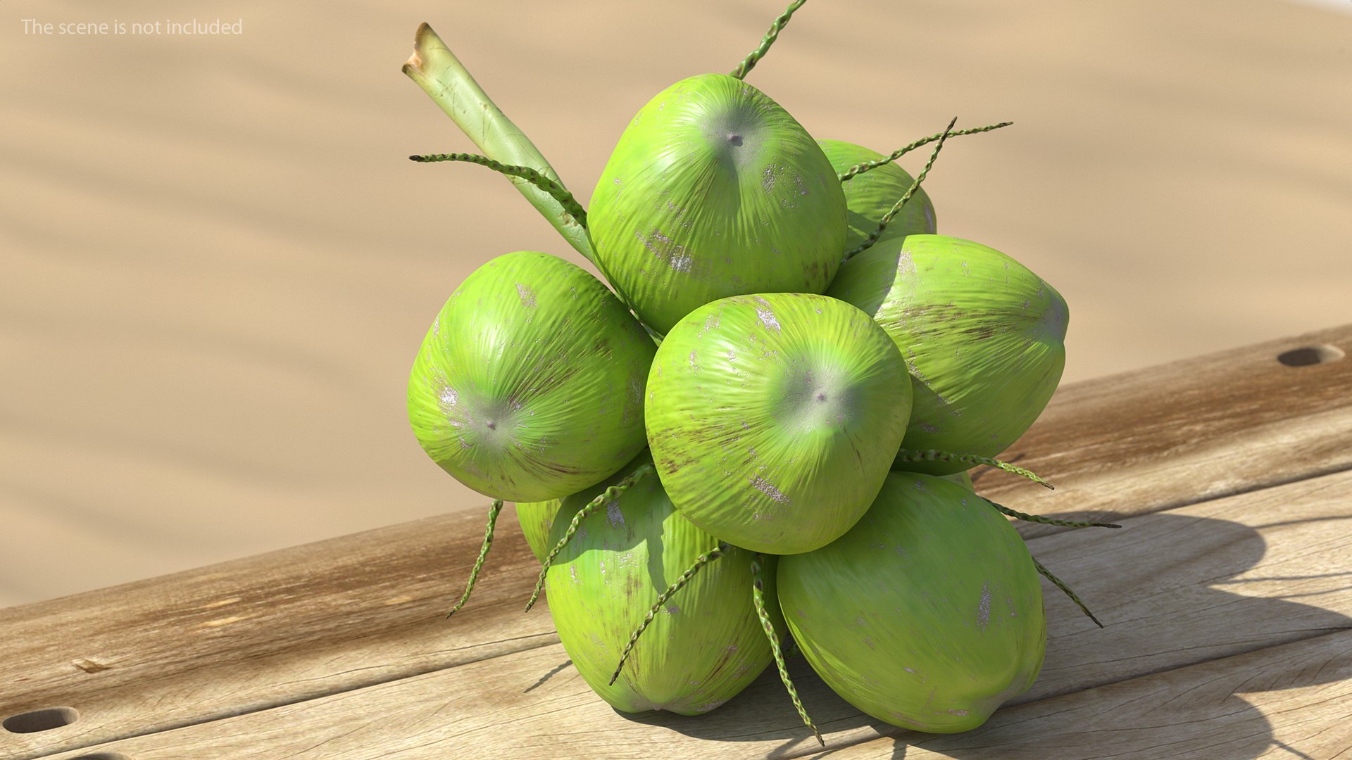 3D coconuts fruits palm https://p.turbosquid.com/ts-thumb/JG/QPXZRm/Oa9YysnN/coconutscollectionc4dmodel004/jpg/1595358448/1920x1080/fit_q87/a4fe65c77e94286981d9b0a18e81c5befc6806e4/coconutscollectionc4dmodel004.jpg
