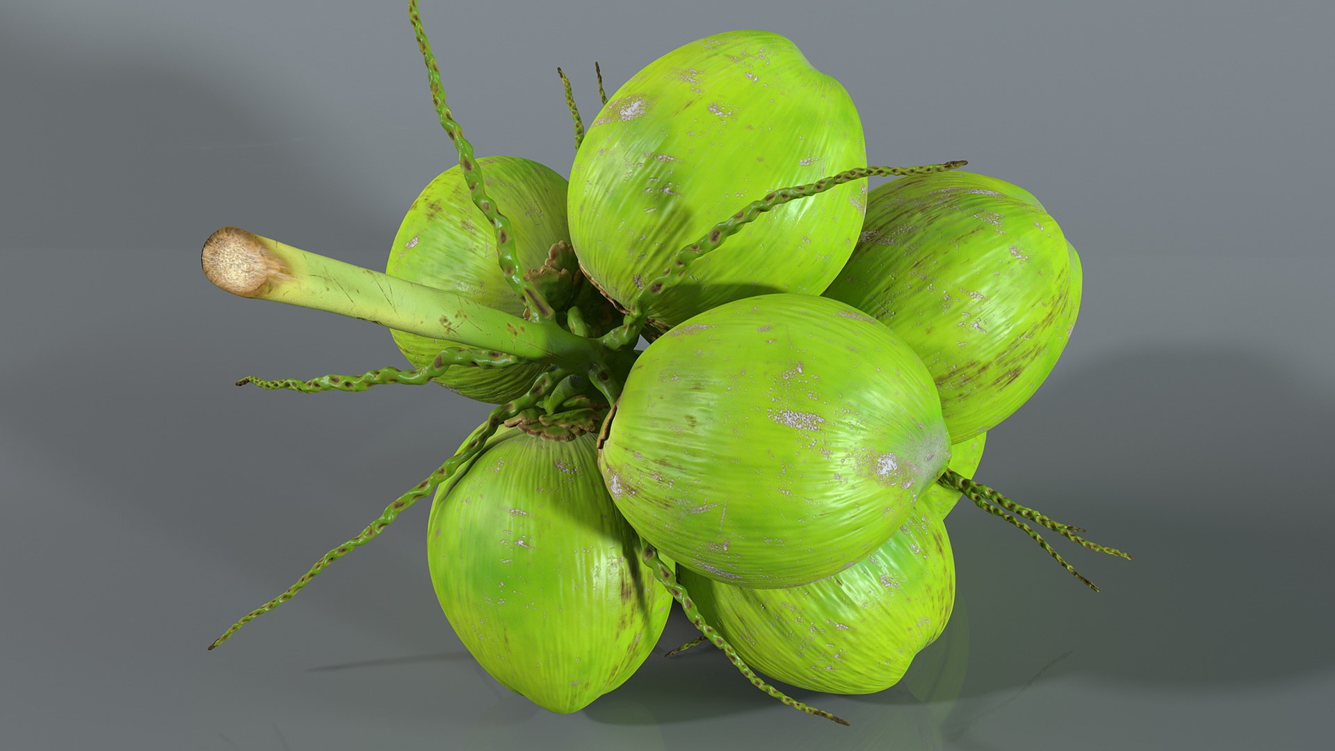 3D coconuts fruits palm https://p.turbosquid.com/ts-thumb/JG/QPXZRm/pJfcTArN/coconutscollectionc4dmodel006/jpg/1595358452/1920x1080/fit_q87/ef324a0da9d3a6df438c2a76ef5a73e3cdf583c2/coconutscollectionc4dmodel006.jpg