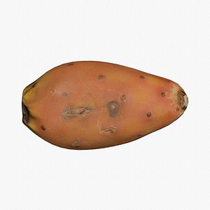 3D Prickly pear 03 low-poly 3D model