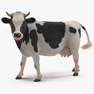 cow walking animal rigged model