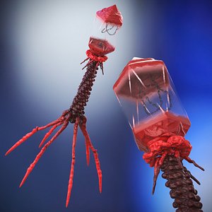 3D Bacteriophage Rigged for Cinema 4D