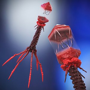Bacteriophage Rigged for Cinema 4D