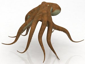 Octopus Crawling Pose model