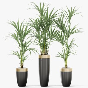 Plants collection 1118 3D model