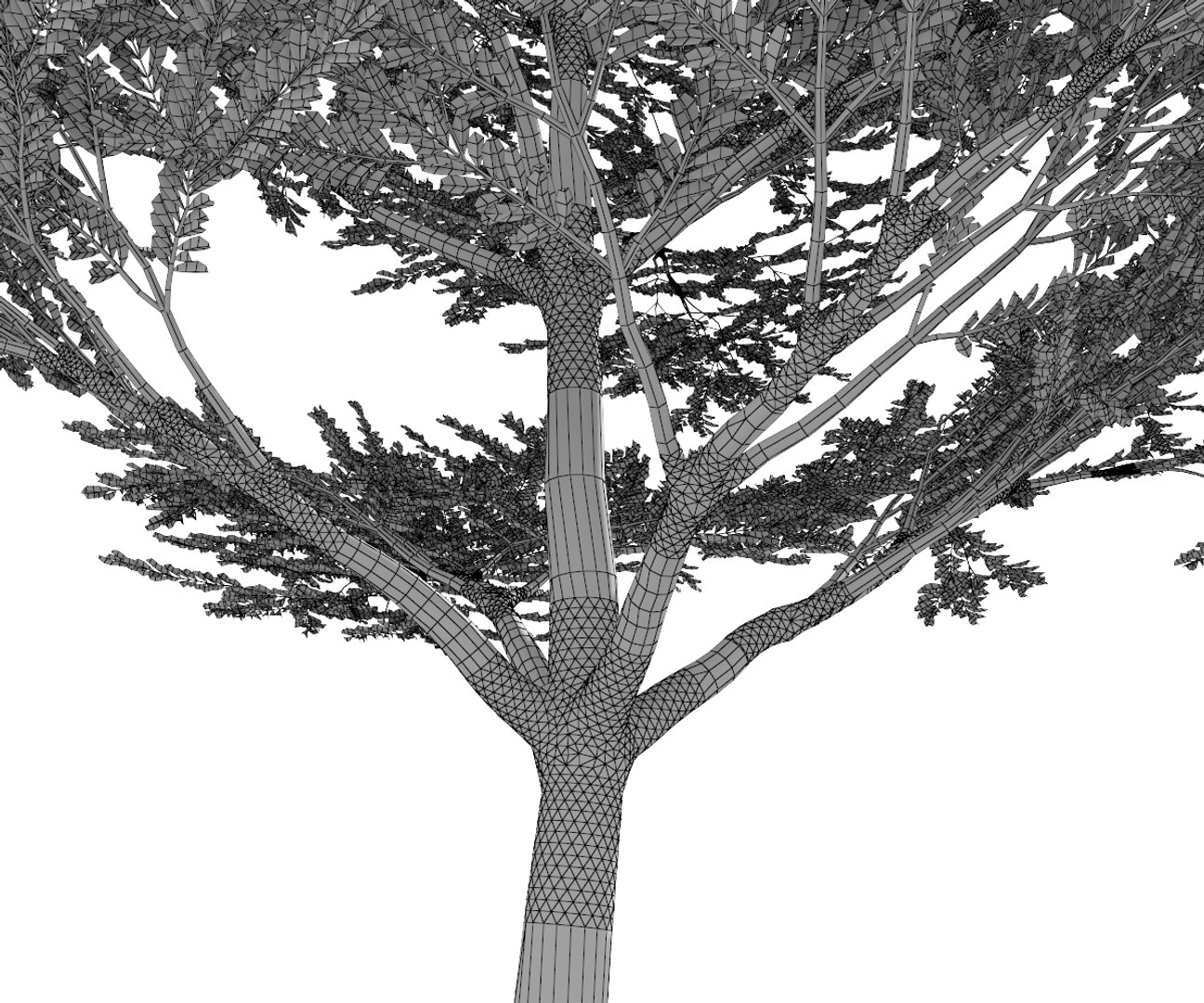 Tree Model - TurboSquid 1415991
