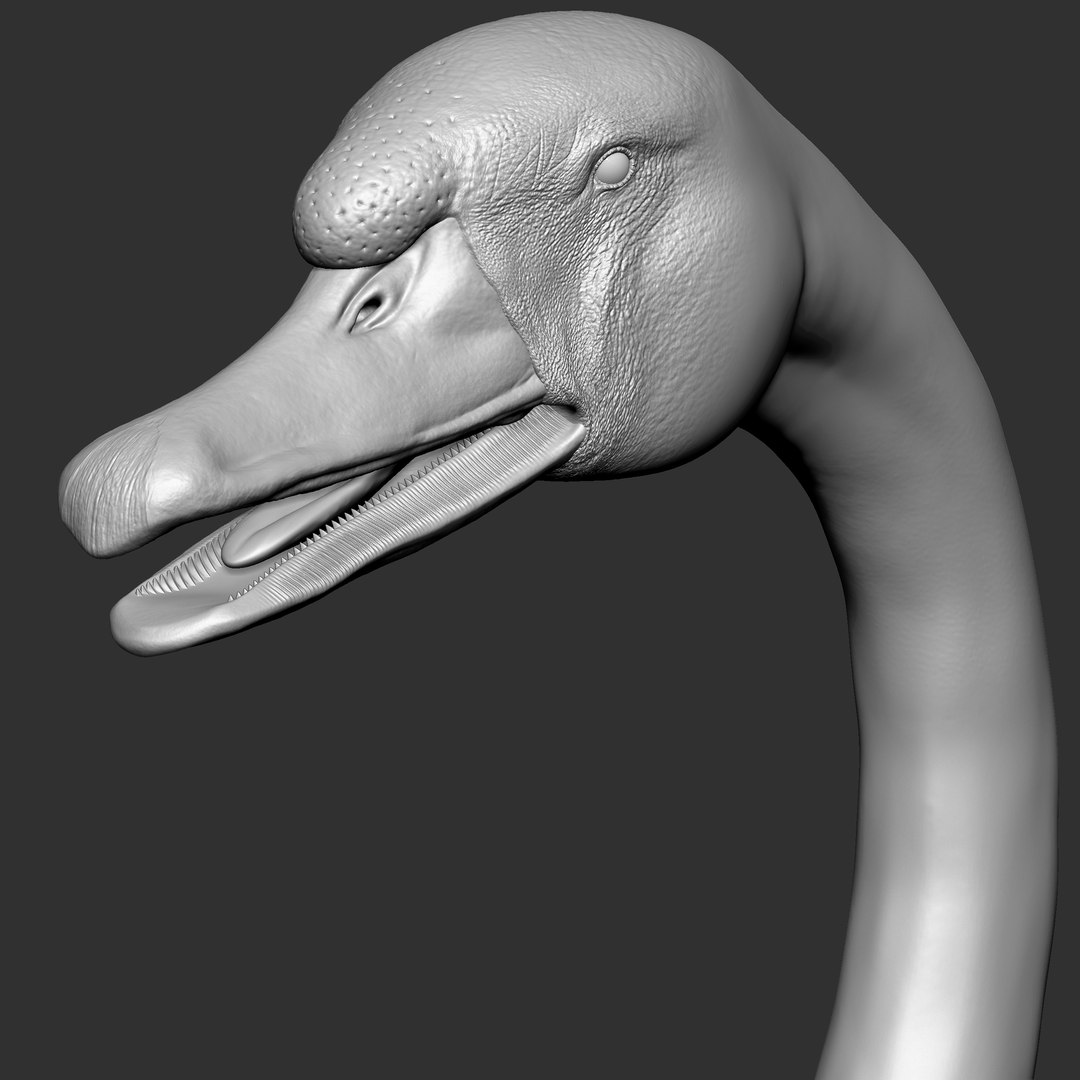 Svan Head VFX model - TurboSquid 1845335