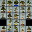 bonsai tree model