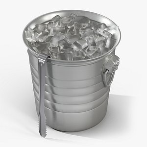 Bar Utility Ice Bucket with Tongs