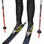 Cross Country Skier V2
