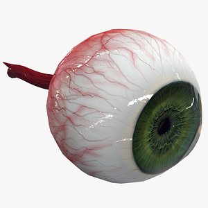 Human Eye