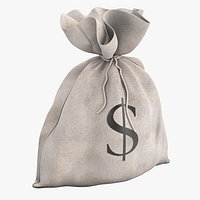 Money Bag
