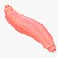 3D Skeletal Muscle Fiber Cross Section Anatomy