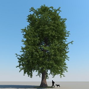 3ds max realistic chestnut tree leaf