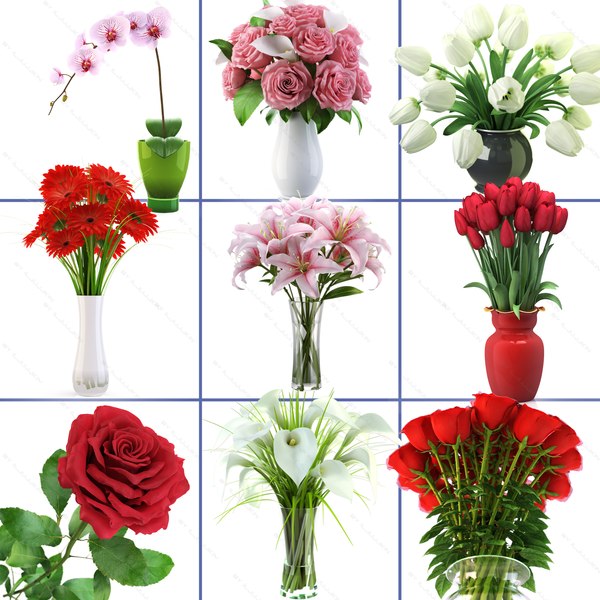 collection_flowers_vol1.jpg