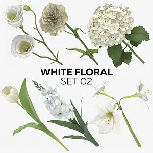 white floral set 02 model